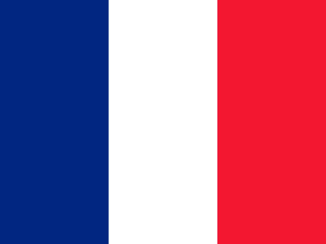 France Address Generator flag