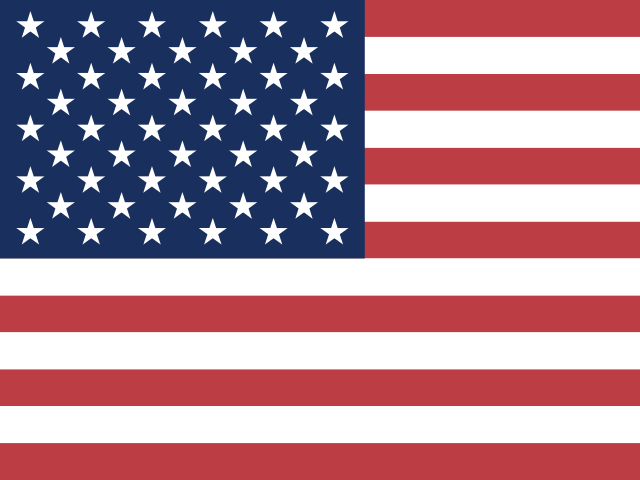 US Address Generator flag